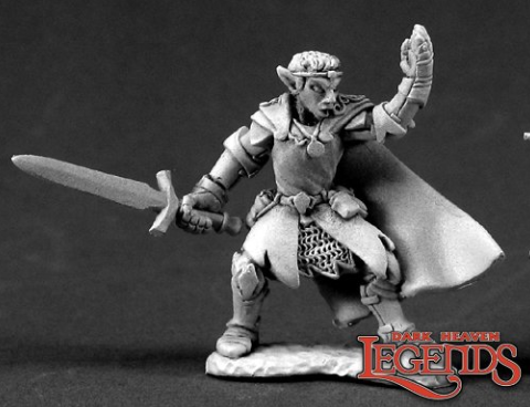 ARGONNITE, ELF CLERIC | Gate City Games LLC