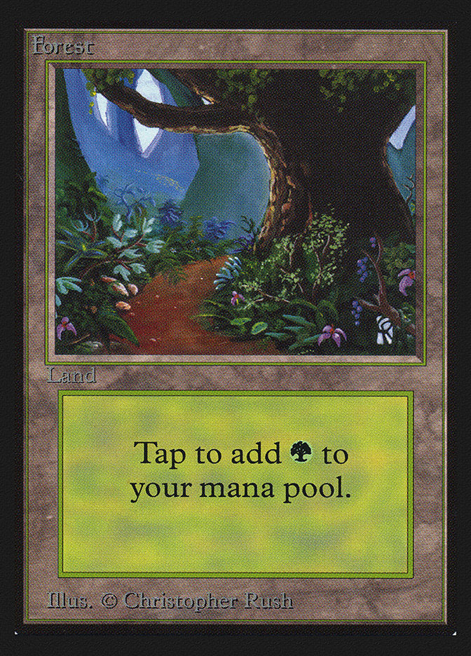 Forest (Flower Path) [International Collectors' Edition] | Gate City Games LLC