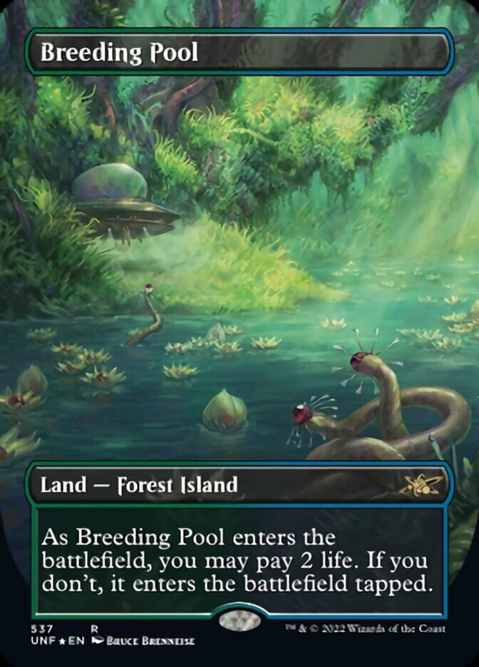 Breeding Pool (Borderless) (Galaxy Foil) [Unfinity] | Gate City Games LLC