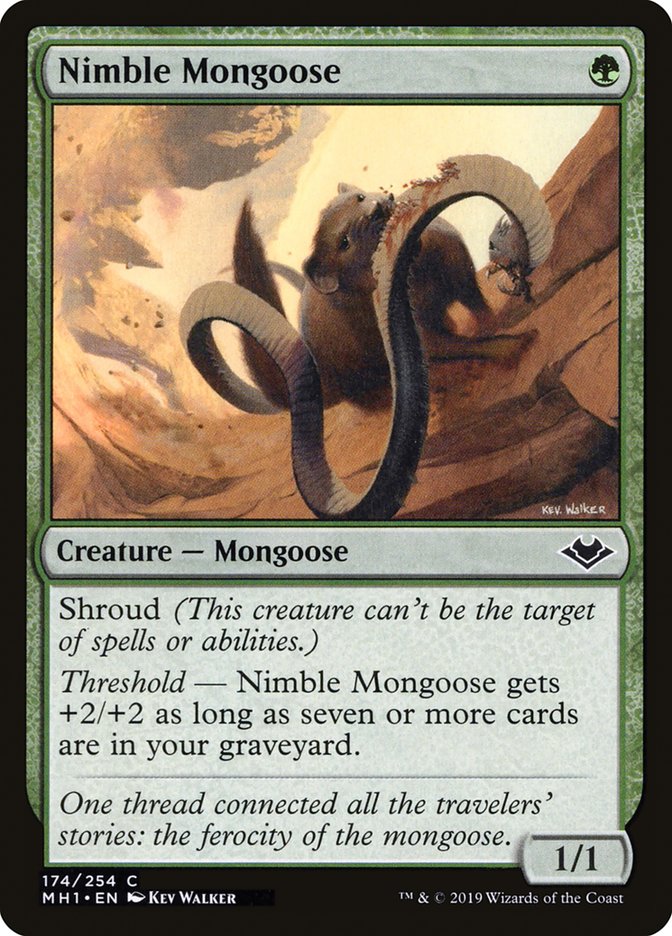 Nimble Mongoose [Modern Horizons] | Gate City Games LLC