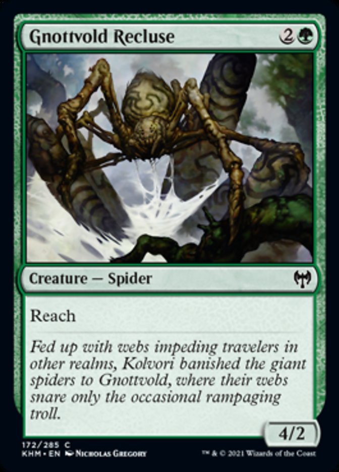 Gnottvold Recluse [Kaldheim] | Gate City Games LLC