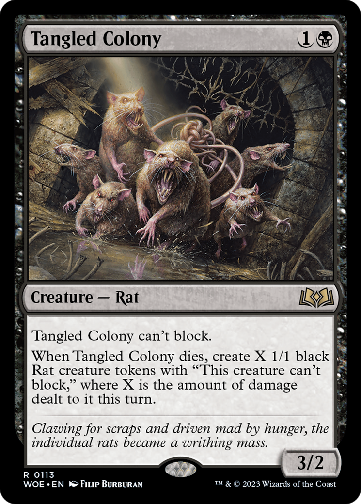 Tangled Colony [Wilds of Eldraine] | Gate City Games LLC