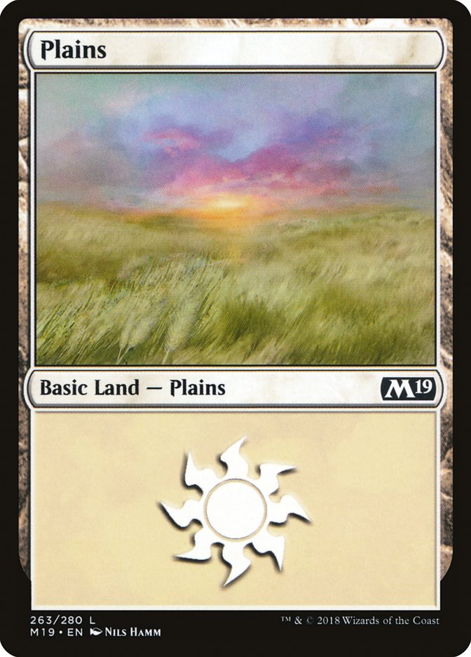Plains (263) [Core Set 2019] | Gate City Games LLC