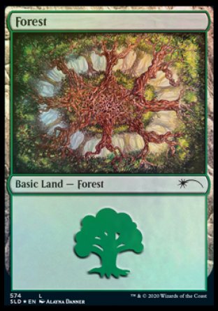 Forest (Plus One) (574) [Secret Lair Drop Promos] | Gate City Games LLC