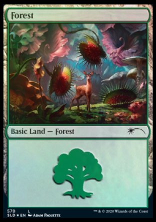 Forest (Predatory) (578) [Secret Lair Drop Promos] | Gate City Games LLC