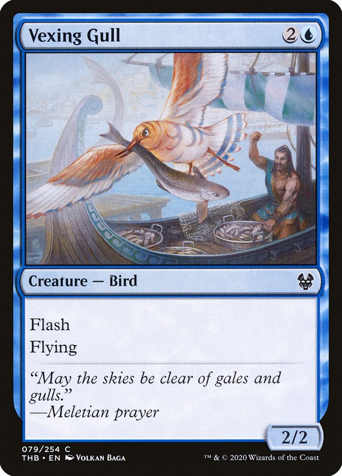 Vexing Gull [Theros Beyond Death] | Gate City Games LLC