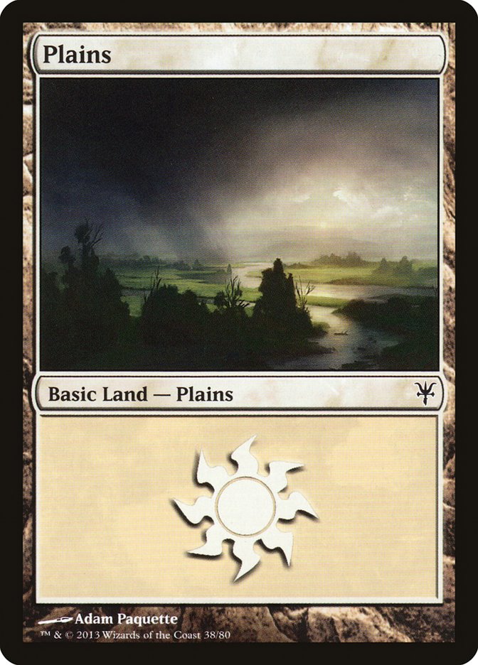 Plains (38) [Duel Decks: Sorin vs. Tibalt] | Gate City Games LLC