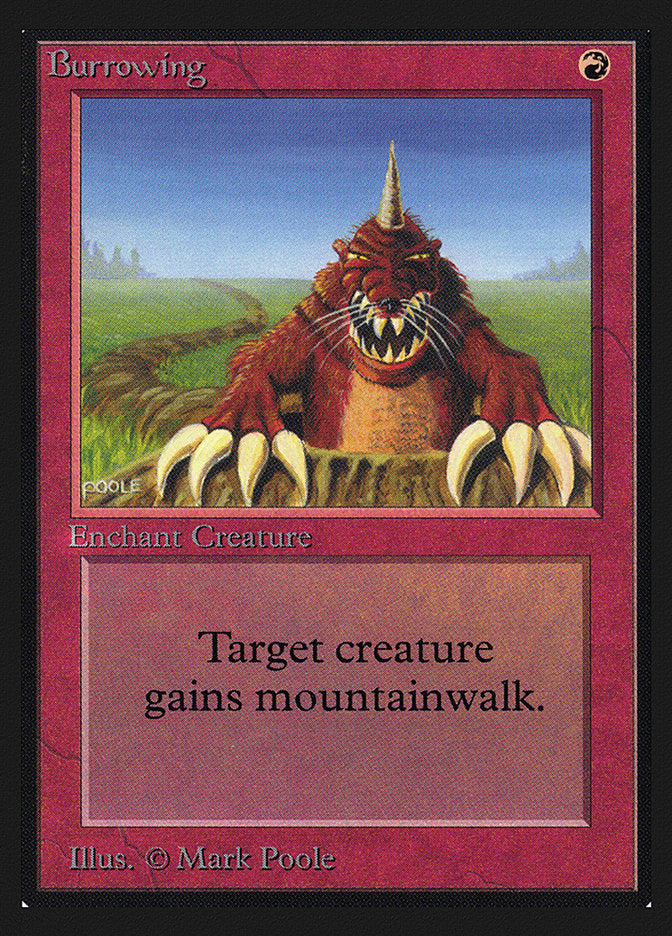 Burrowing [International Collectors' Edition] | Gate City Games LLC