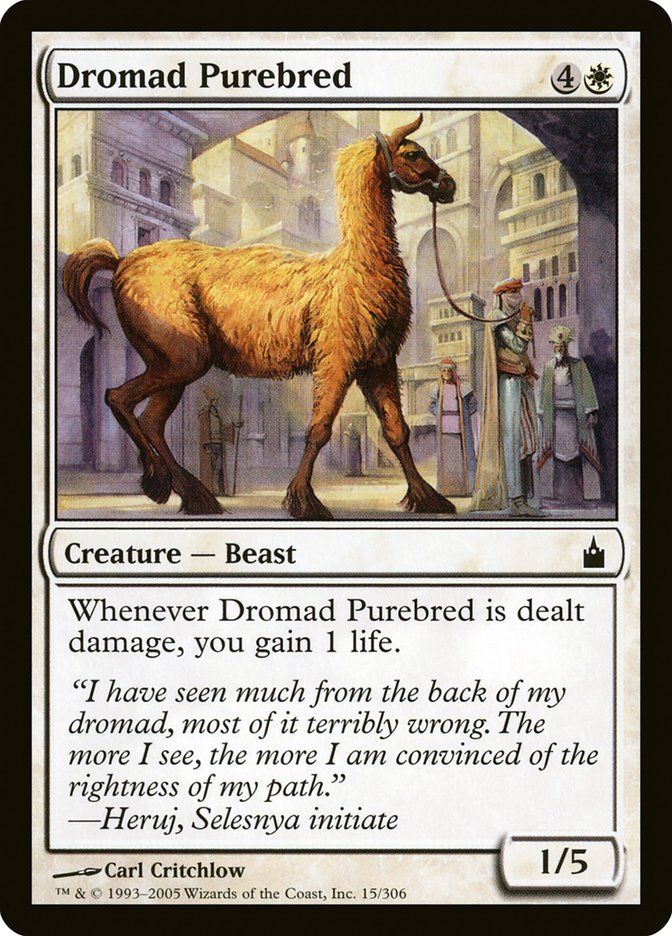 Dromad Purebred [Ravnica: City of Guilds] | Gate City Games LLC