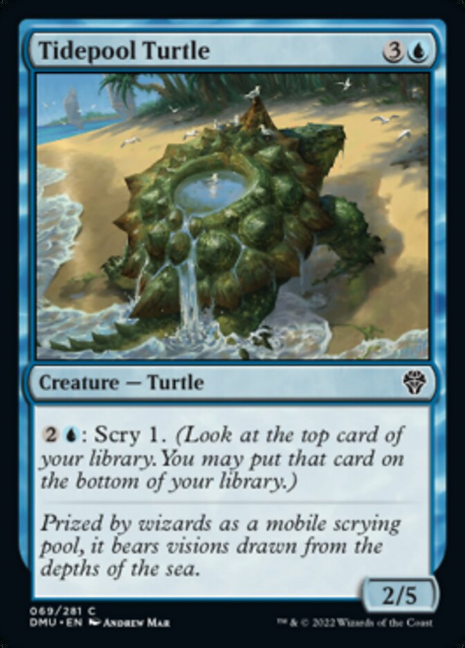 Tidepool Turtle [Dominaria United] | Gate City Games LLC