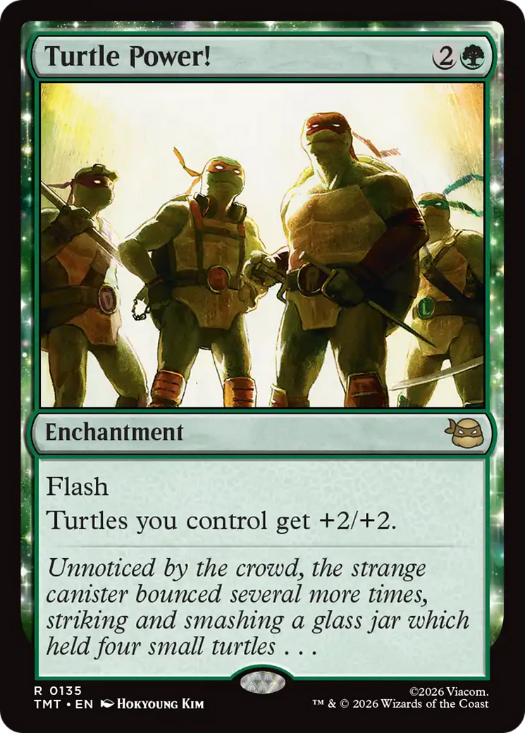 Turtle Power! [Teenage Mutant Ninja Turtles] | Gate City Games LLC