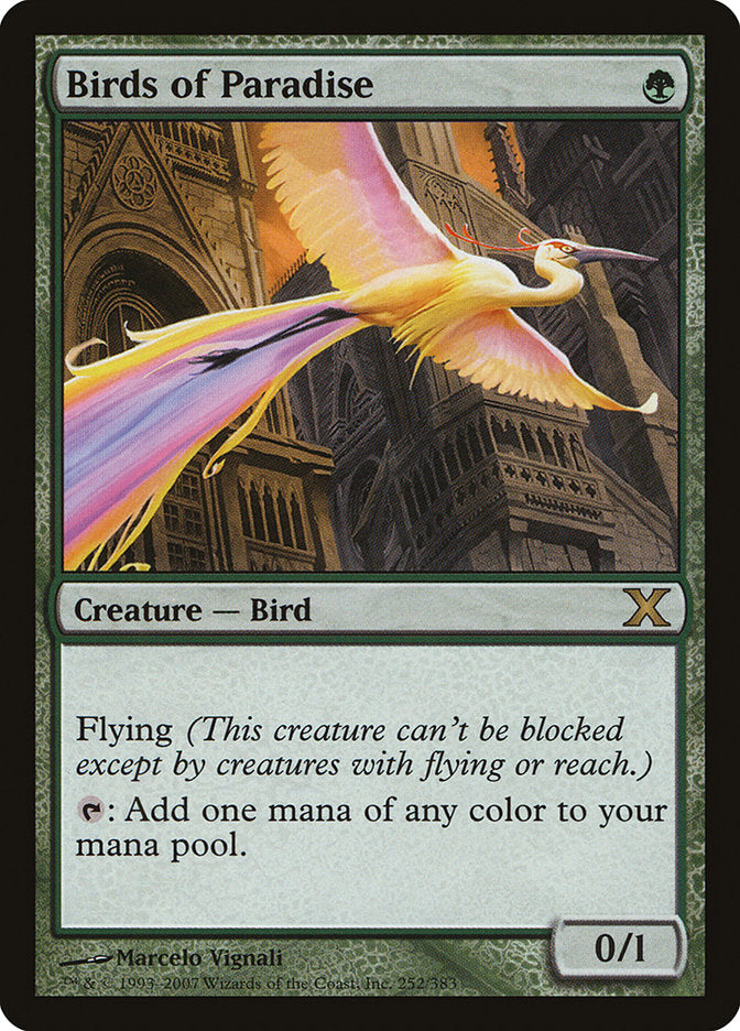 Birds of Paradise [Tenth Edition] | Gate City Games LLC
