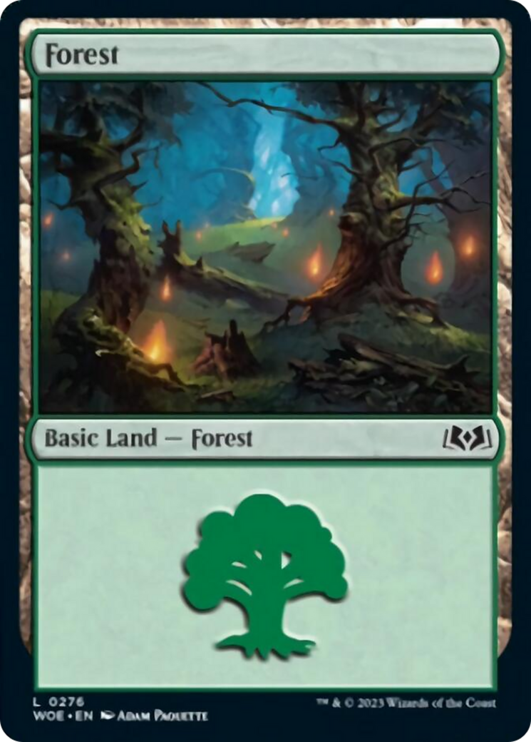 Forest (0276) [Wilds of Eldraine] | Gate City Games LLC