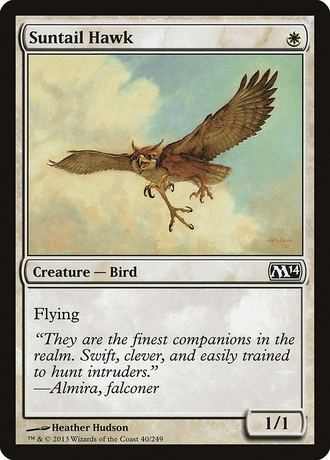 Suntail Hawk [Magic 2014] | Gate City Games LLC