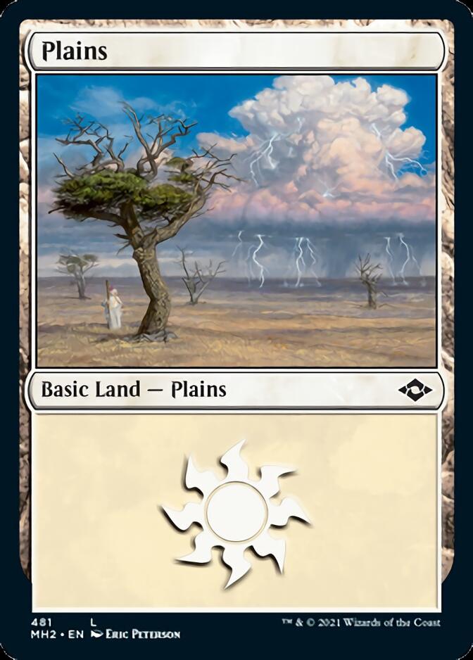 Plains (481) (Foil Etched) [Modern Horizons 2] | Gate City Games LLC