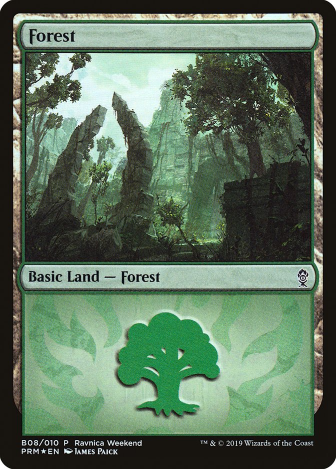 Forest (B08) [Ravnica Allegiance Guild Kit] | Gate City Games LLC