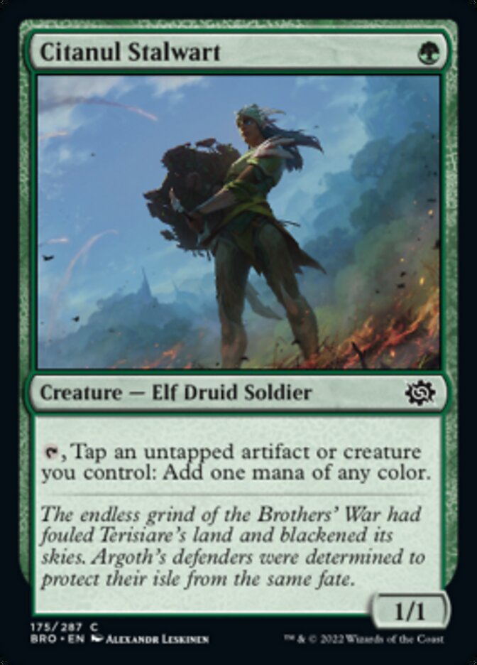 Citanul Stalwart [The Brothers' War] | Gate City Games LLC