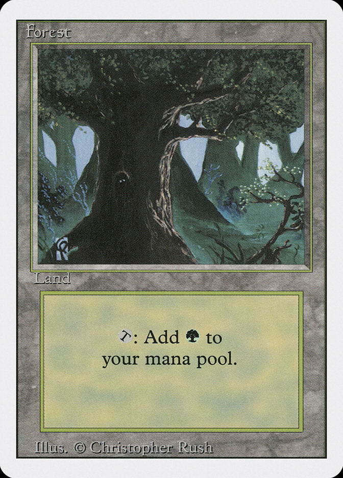Forest (Eyes in Tree) [Revised Edition] | Gate City Games LLC