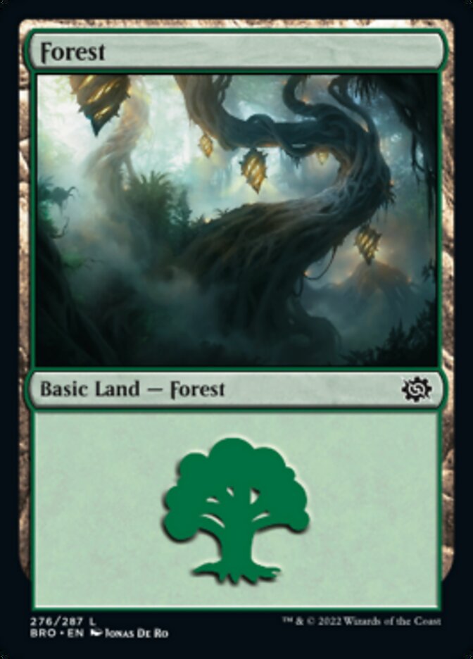 Forest (276) [The Brothers' War] | Gate City Games LLC