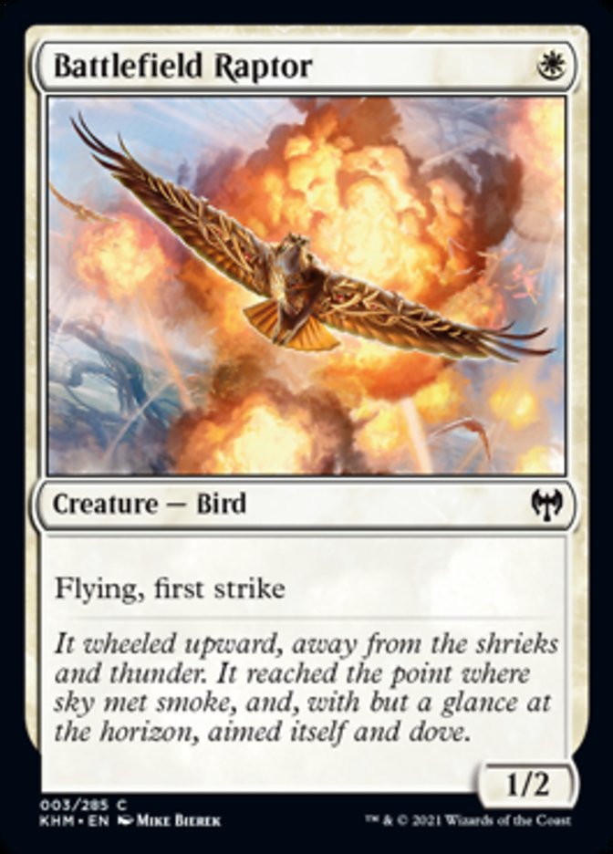 Battlefield Raptor [Kaldheim] | Gate City Games LLC