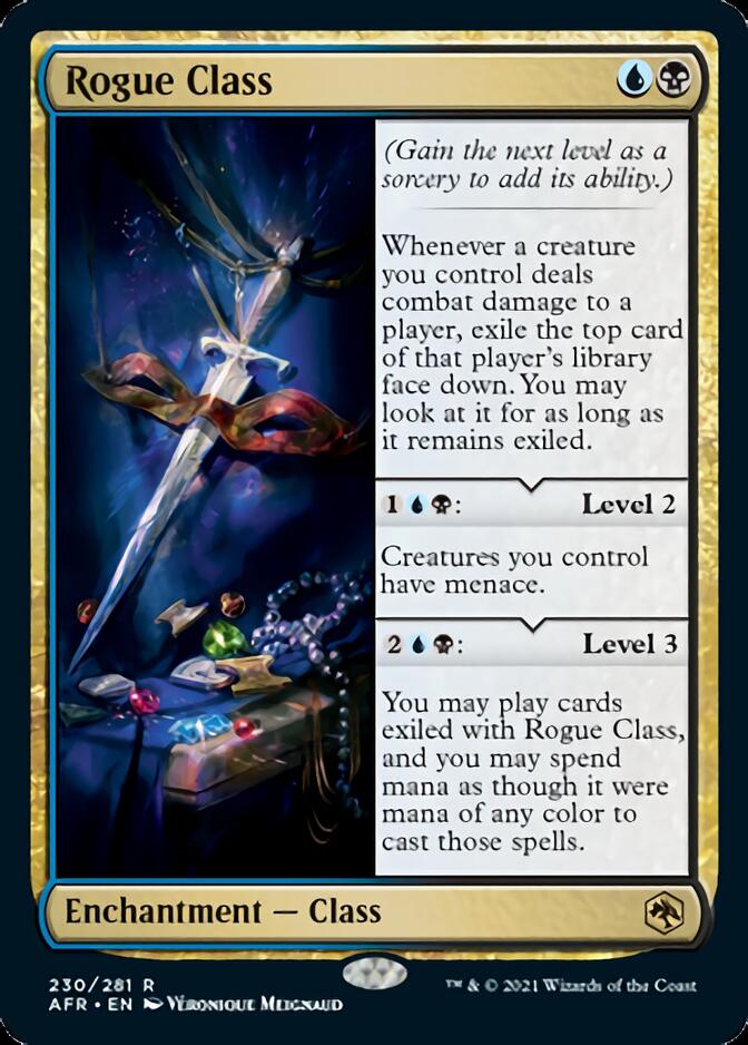 Rogue Class [Dungeons & Dragons: Adventures in the Forgotten Realms] | Gate City Games LLC