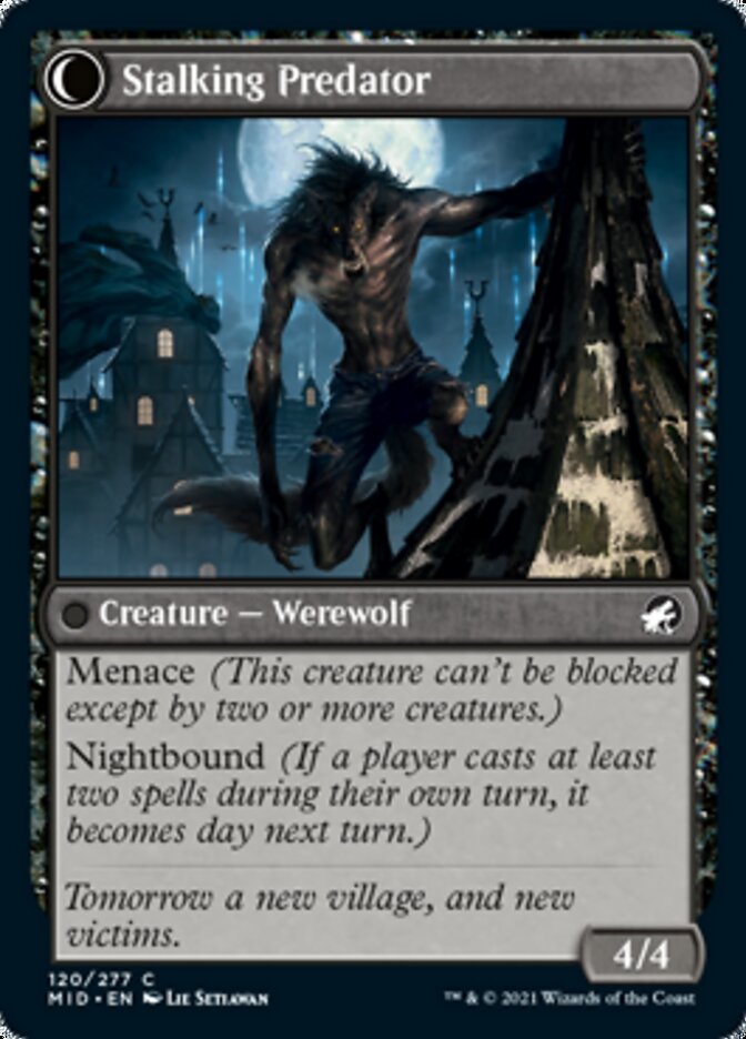 Shady Traveler // Stalking Predator [Innistrad: Midnight Hunt] | Gate City Games LLC