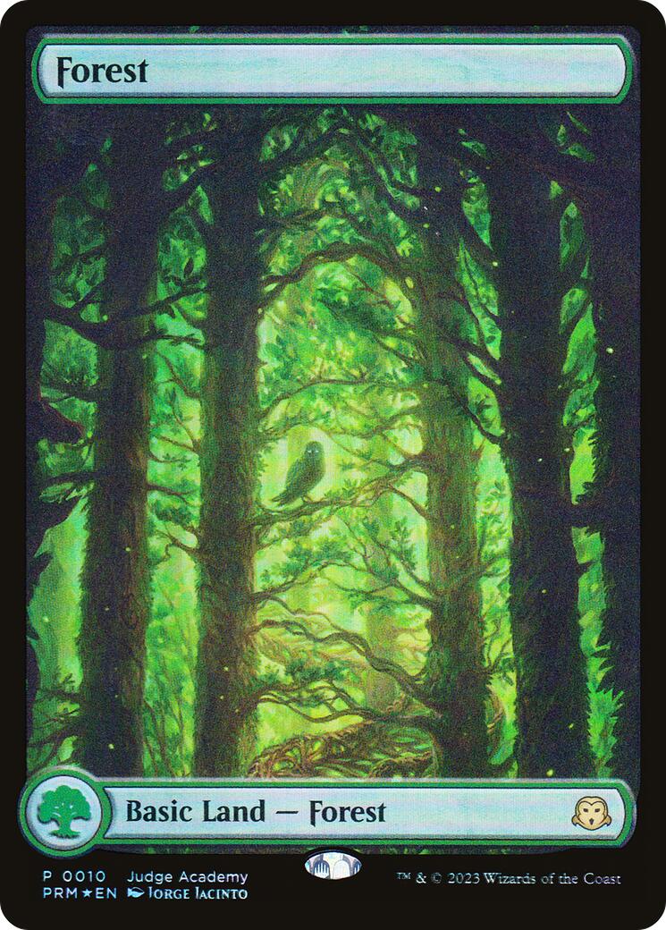 Forest [Judge Gift Cards 2023] | Gate City Games LLC