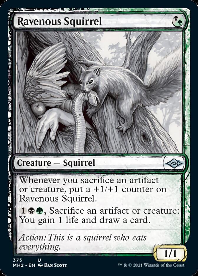 Ravenous Squirrel (Sketch) [Modern Horizons 2] | Gate City Games LLC