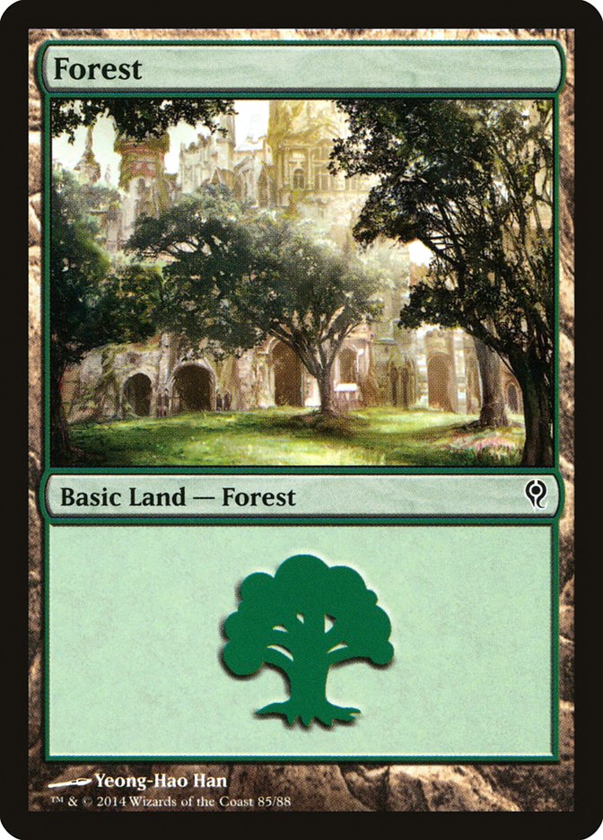 Forest (85) [Duel Decks: Jace vs. Vraska] | Gate City Games LLC