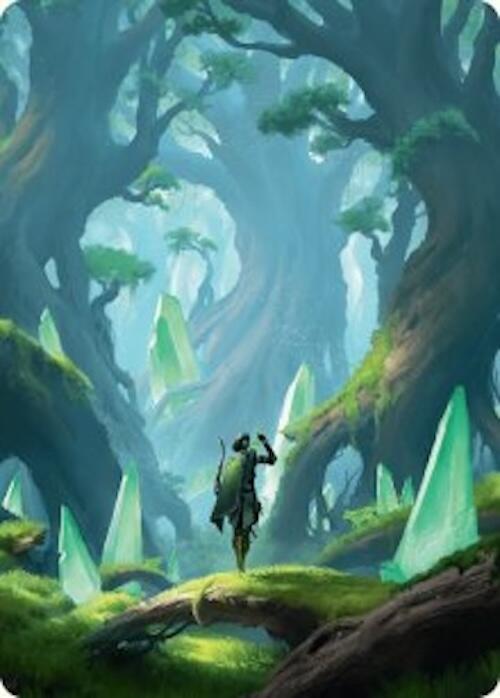 Forest Art Card (25/54) [Foundations Art Series] | Gate City Games LLC