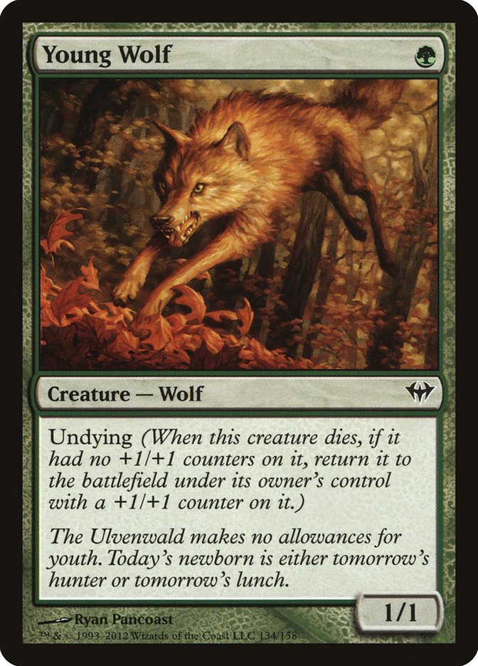 Young Wolf [Dark Ascension] | Gate City Games LLC