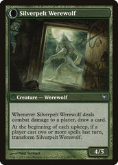Lambholt Elder // Silverpelt Werewolf [Dark Ascension] | Gate City Games LLC