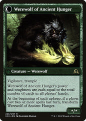 Sage of Ancient Lore // Werewolf of Ancient Hunger [Shadows over Innistrad Prerelease Promos] | Gate City Games LLC