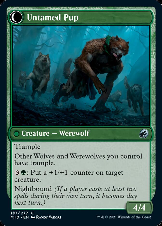 Hound Tamer // Untamed Pup [Innistrad: Midnight Hunt] | Gate City Games LLC