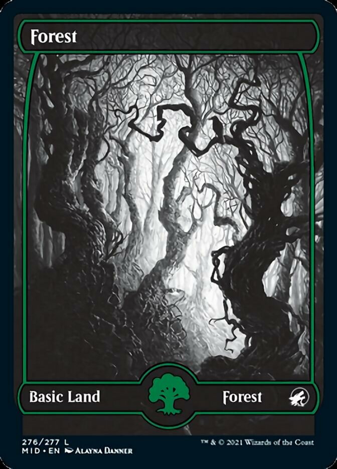 Forest (276) [Innistrad: Midnight Hunt] | Gate City Games LLC