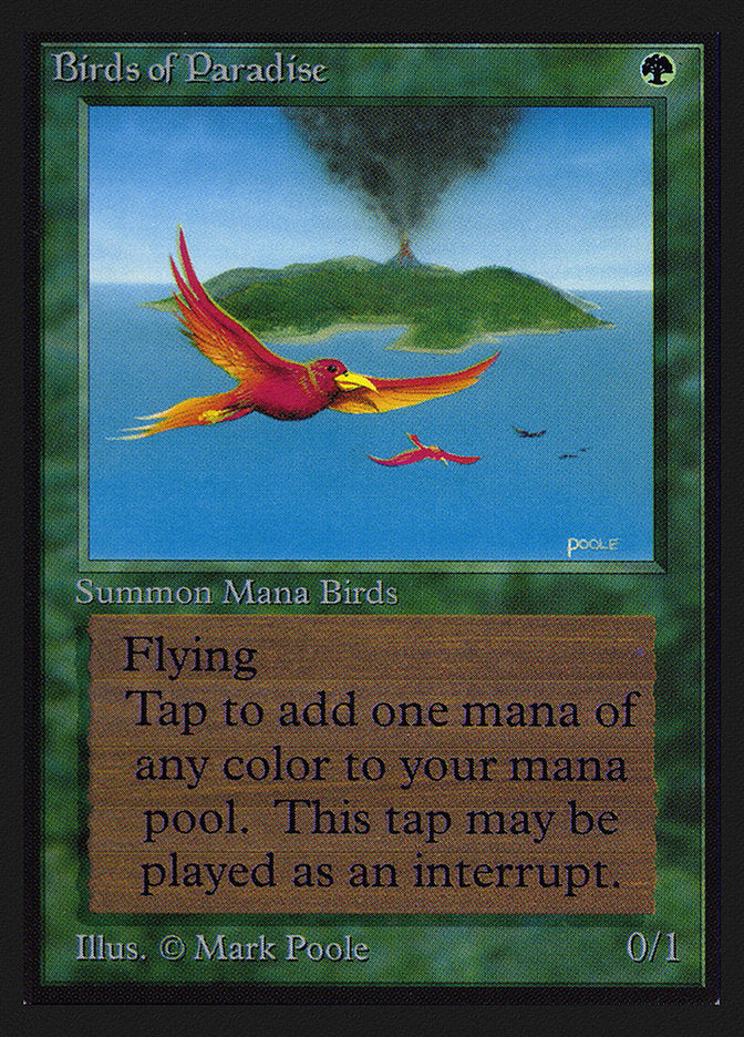 Birds of Paradise [International Collectors' Edition] | Gate City Games LLC