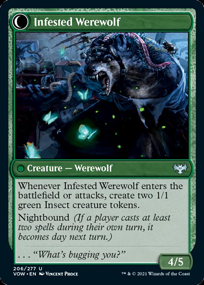 Infestation Expert // Infested Werewolf [Innistrad: Crimson Vow] | Gate City Games LLC