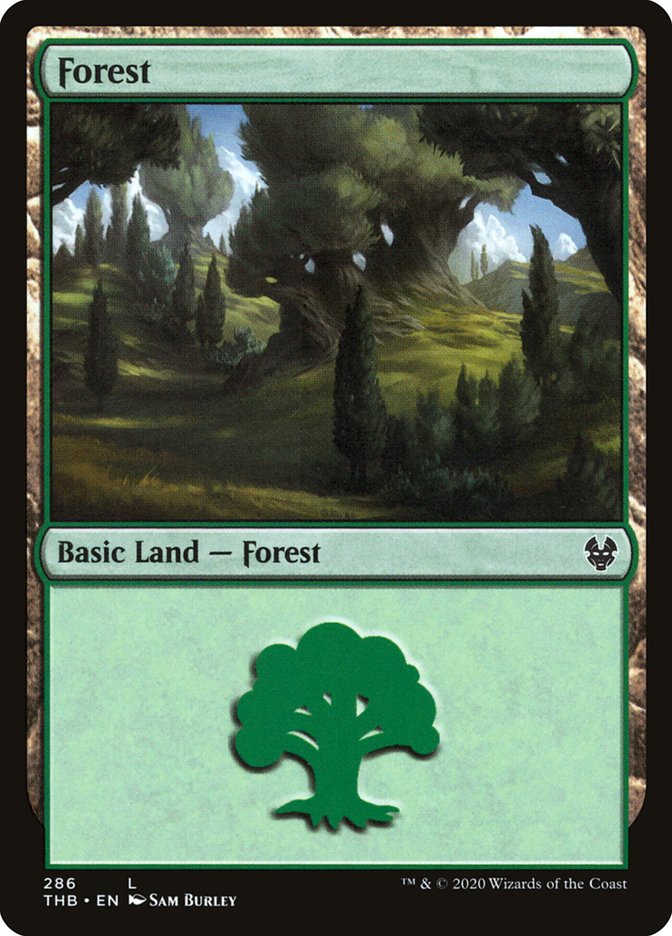 Forest (286) [Theros Beyond Death] | Gate City Games LLC
