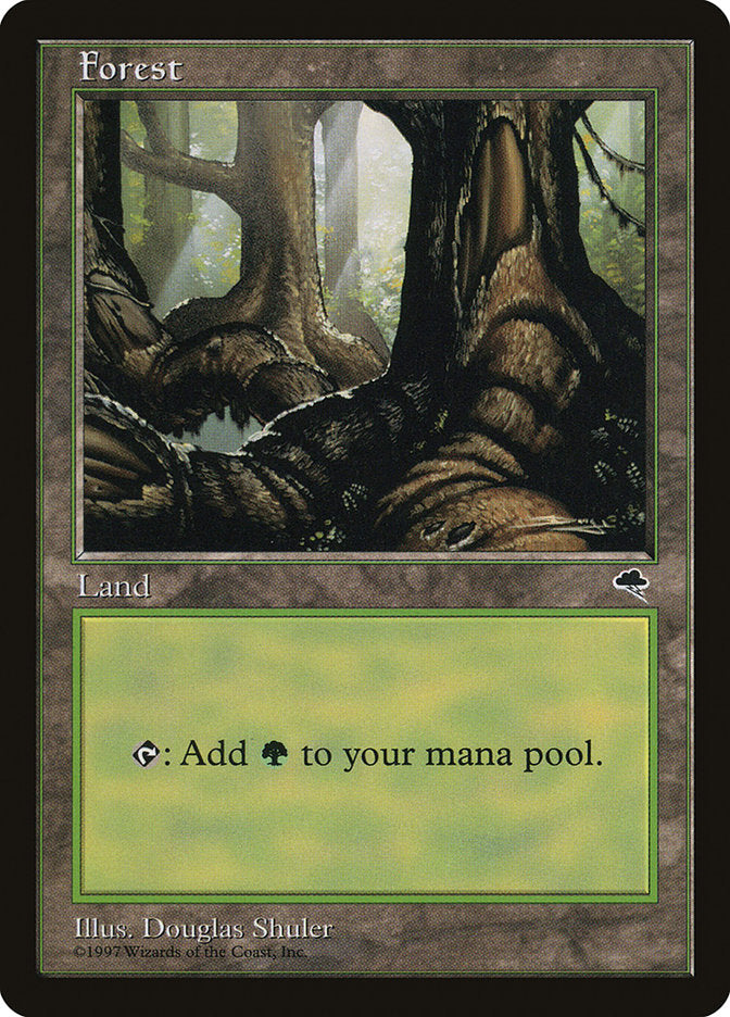 Forest (Large Roots) [Tempest] | Gate City Games LLC
