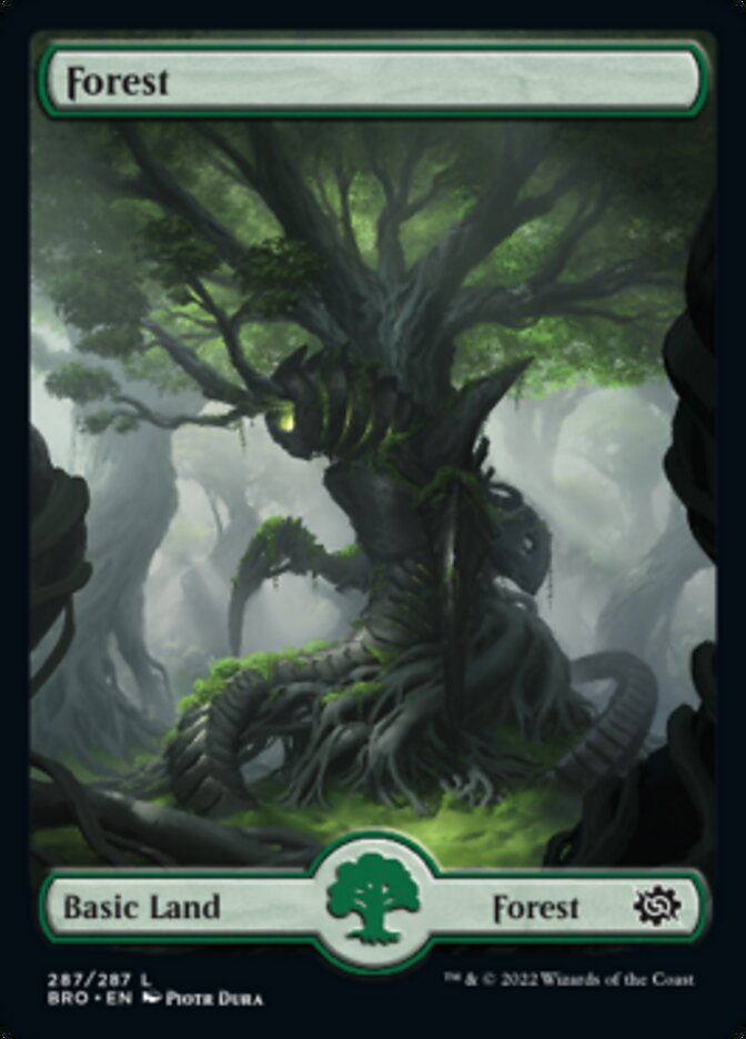 Forest (287) [The Brothers' War] | Gate City Games LLC