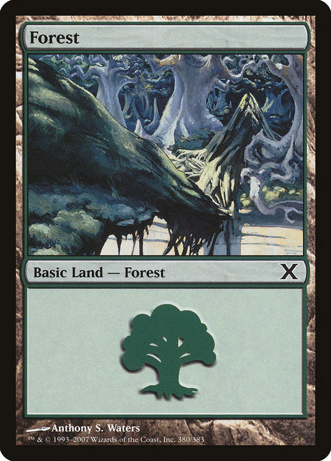 Forest (380) [Tenth Edition] | Gate City Games LLC