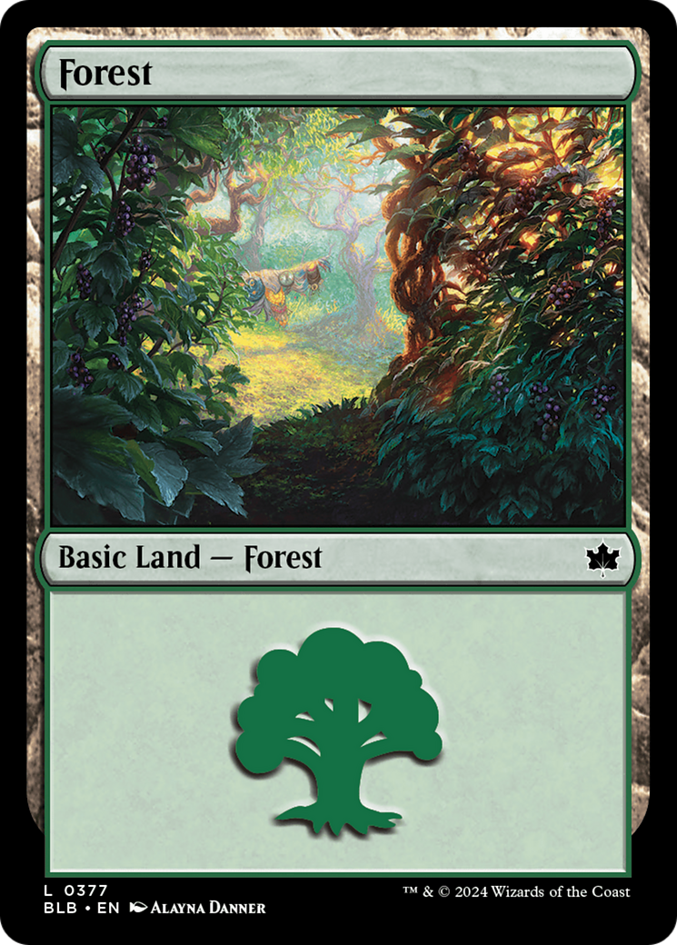 Forest (0377) [Bloomburrow] | Gate City Games LLC