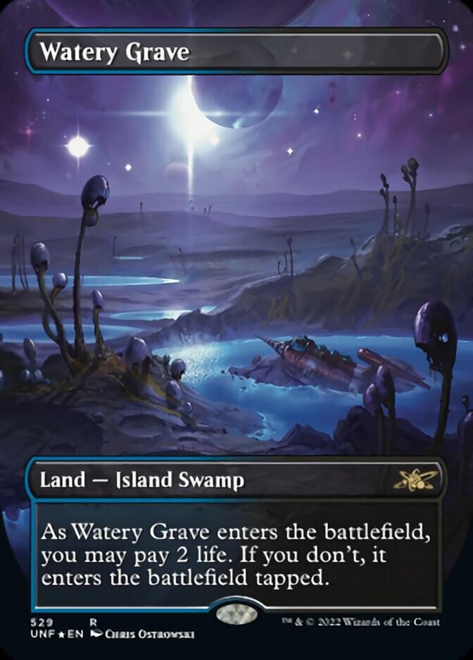 Watery Grave (Borderless) (Galaxy Foil) [Unfinity] | Gate City Games LLC