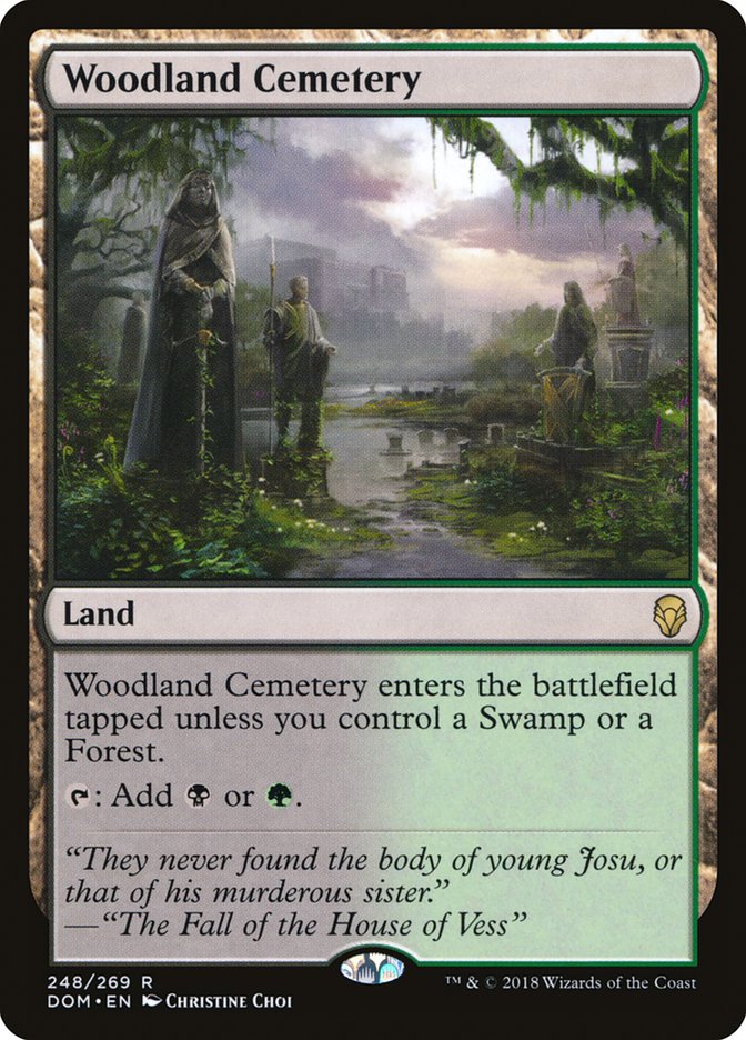 Woodland Cemetery [Dominaria] | Gate City Games LLC
