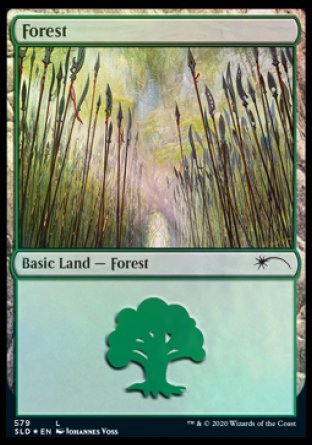 Forest (Elves) (579) [Secret Lair Drop Promos] | Gate City Games LLC