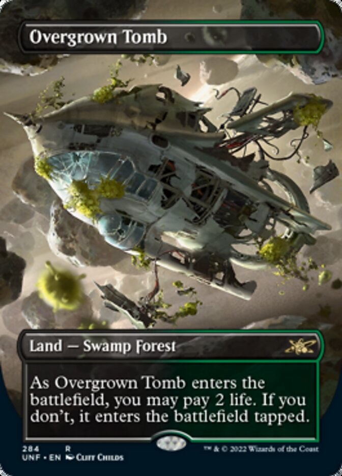 Overgrown Tomb (Borderless) [Unfinity] | Gate City Games LLC