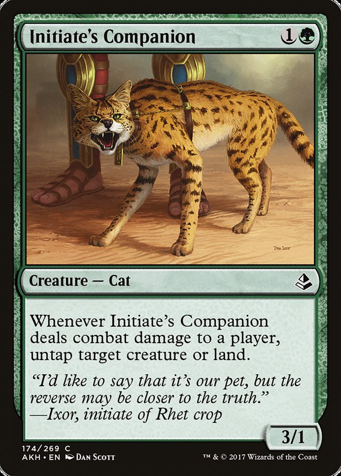 Initiate's Companion [Amonkhet] | Gate City Games LLC