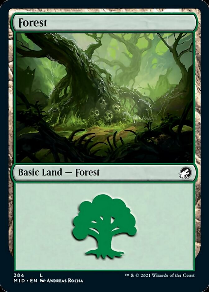Forest (384) [Innistrad: Midnight Hunt] | Gate City Games LLC