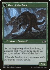 Solitary Hunter // One of the Pack [Shadows over Innistrad] | Gate City Games LLC