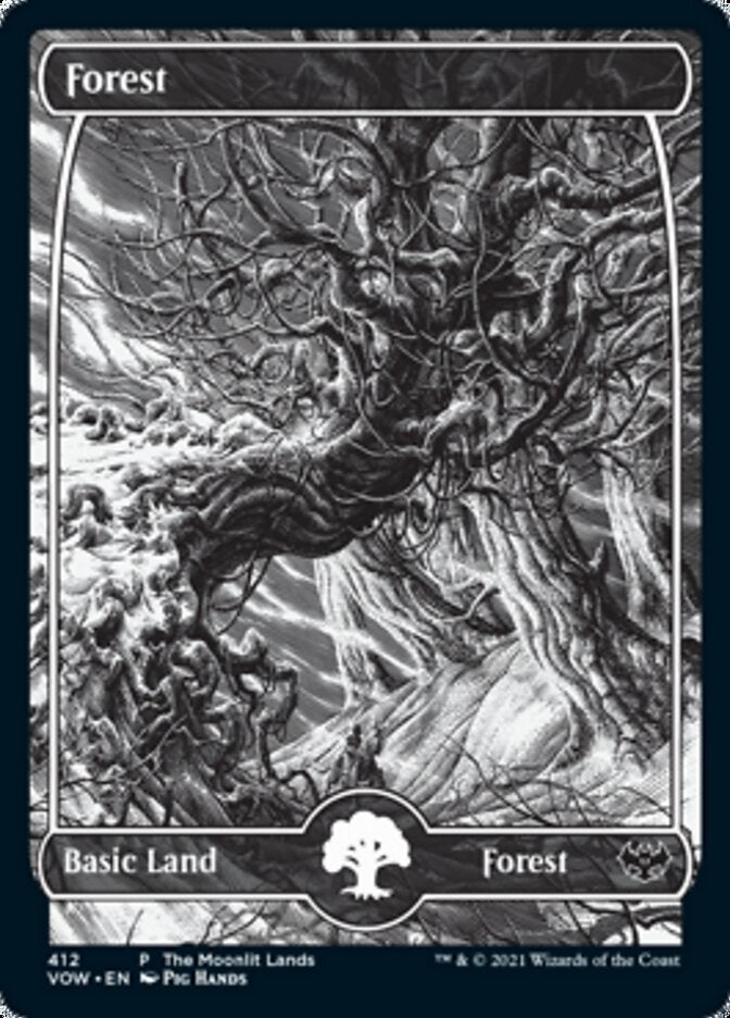 Forest (The Moonlit Lands) (Foil Etched) [Innistrad: Crimson Vow Promos] | Gate City Games LLC